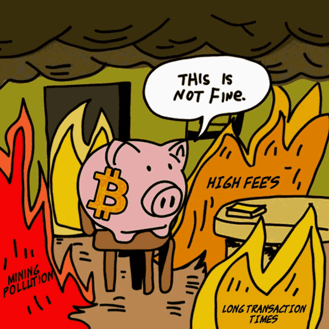 Each debit card provider has different payment processor fees, but all of them follow the same specific guidelines.